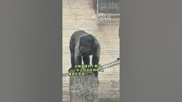 National Monkey King 1810 Live