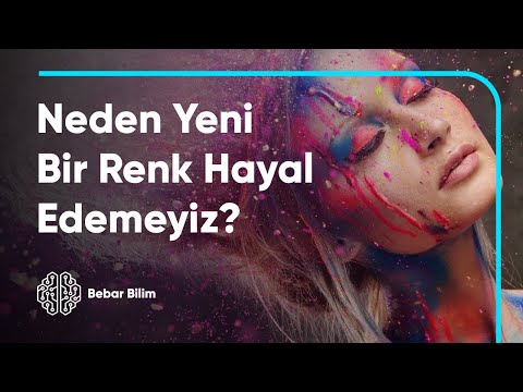 Video: Renk Ve Algısı