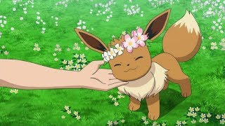 Eterna | Pokemon + One Piece