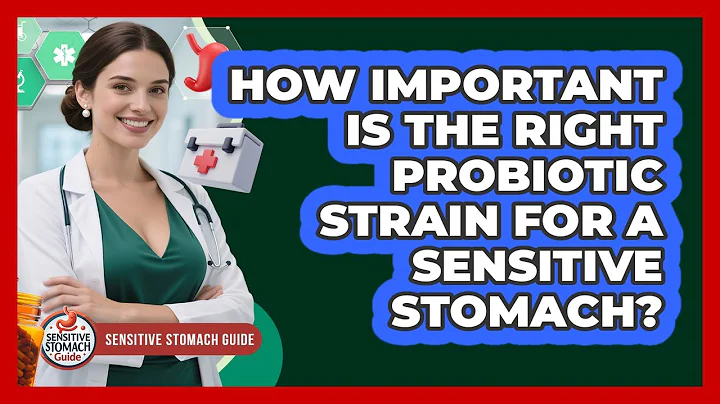 How Important Is The Right Probiotic Strain For A Sensitive Stomach? - Sensitive Stomach Guide