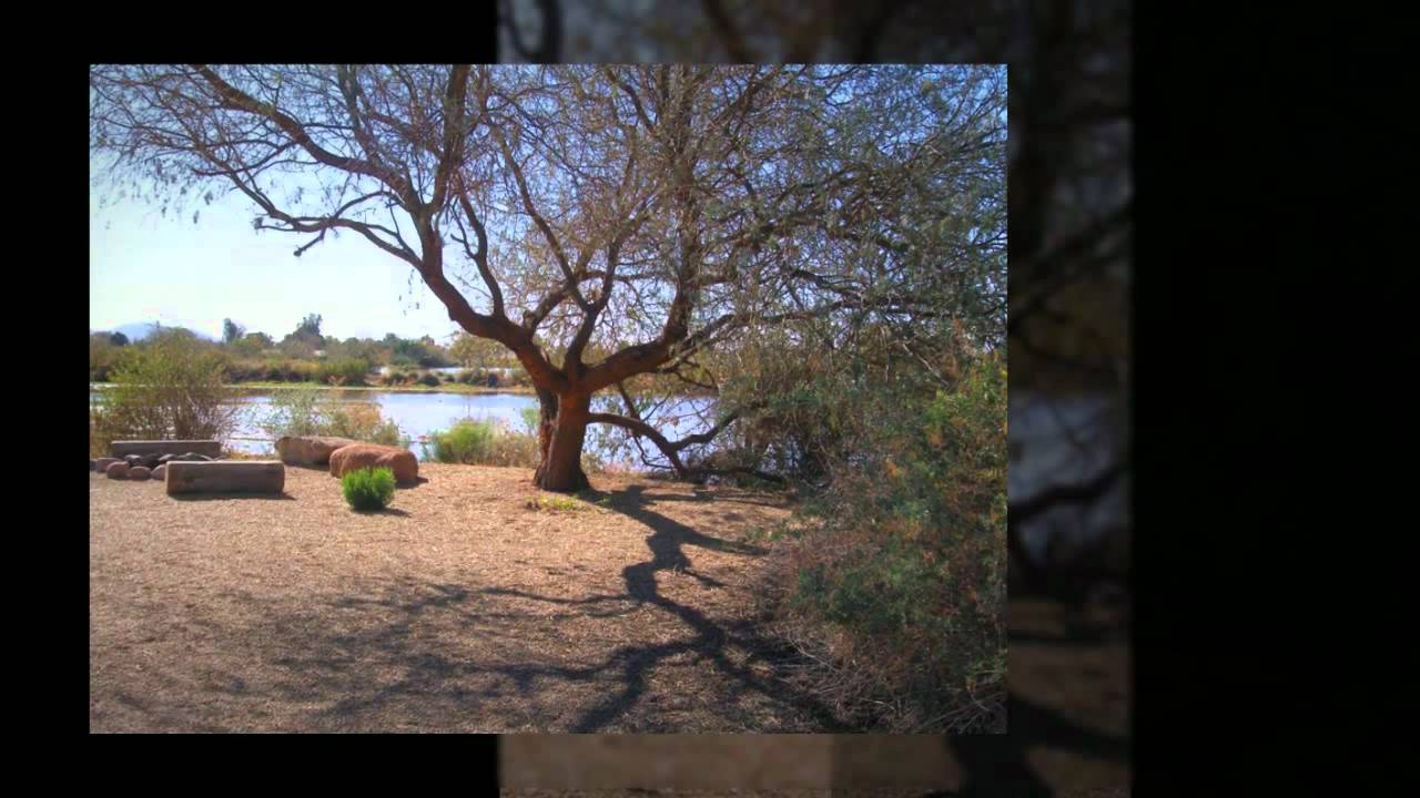 Homes for Sale at Higley Groves in Gilbert, Arizo YouTube