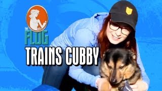 Felicia Day Trains Cubby (The Cutest Dog Ever)