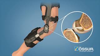 Rebound PCL® Animation