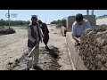 The work of the people of Afghanistan. afg'oniston xalqing kundalik ishlari روزمره های مردم افغانستا