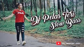 DJ PELAS TERI REMIX SLOW BASS TERBARU