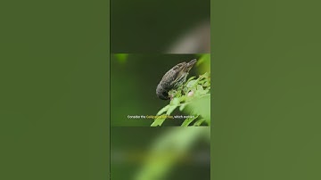 Discover the Impacts of Evolutionary Change