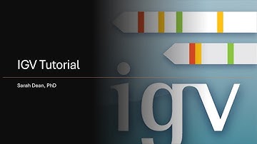 IGV Tutorial Part 1: Installing IGV