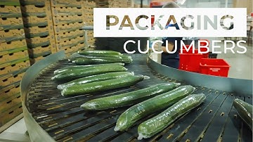 How Cucumbers Are Packaged