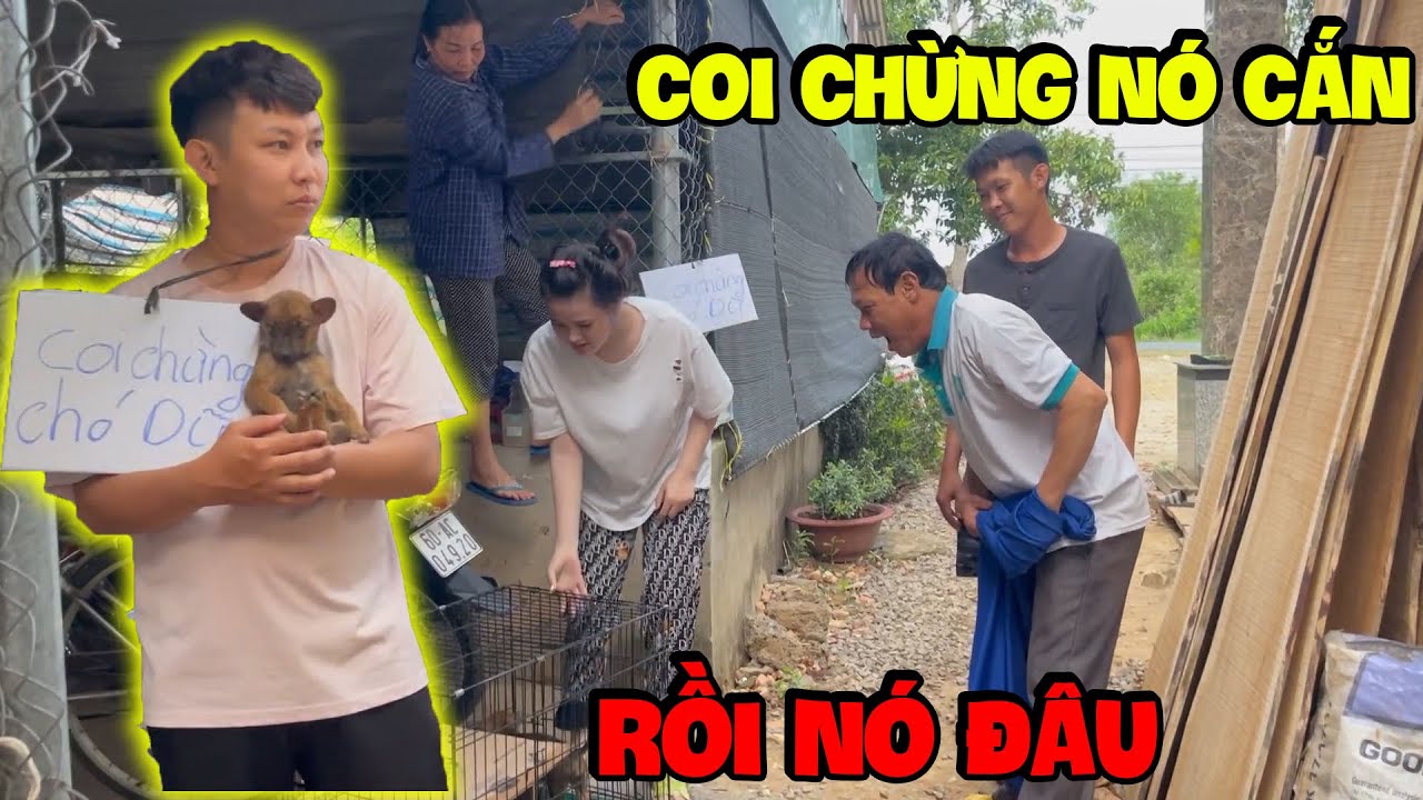 Tiểu Yến Tử Và Mẹ Hương Bị Chó Dí Chạy Muốn Tuột Quần Và Cái Kết