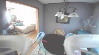 cat chase tiny whoop inductrix fpv