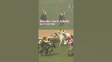 Wonder Mare Juliette Six In A Row 