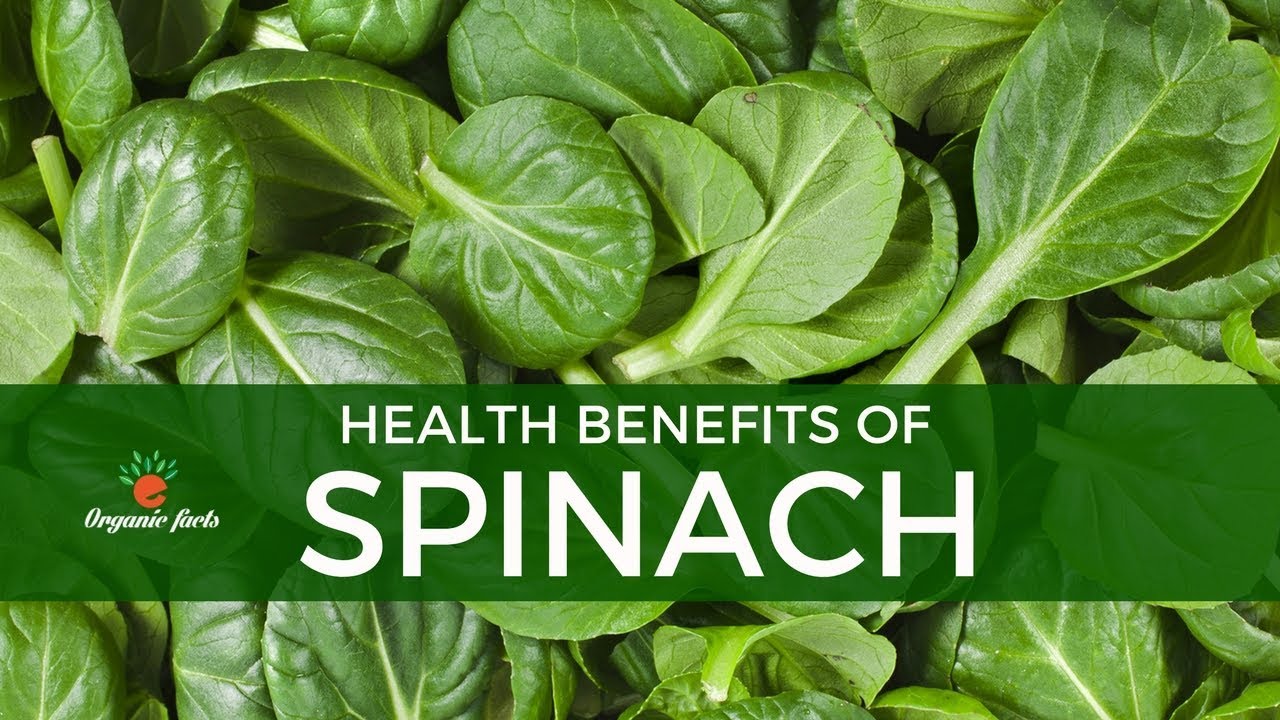 Top health benefits of green leafy vegetables recommendations Top health benefits of green leafy vegetables forecasting