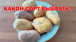 Урожай, урожайность. Какой сорт картофеля выбрать?