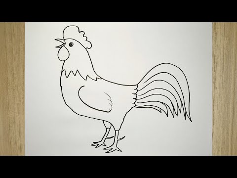 Cara Membuat Gambar Ayam Jago