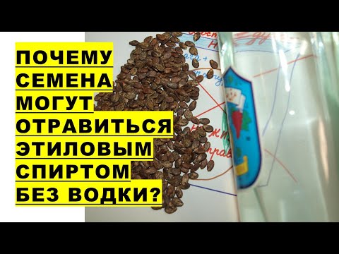 Видео: Метилийн спирт гэж юу вэ?