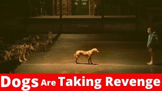 White God Movie Review | Precise Story Movie Recap | Explained | Review