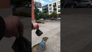 We Crashed Bitcoin is for Everyone 2026 🪙 Portland Oregon