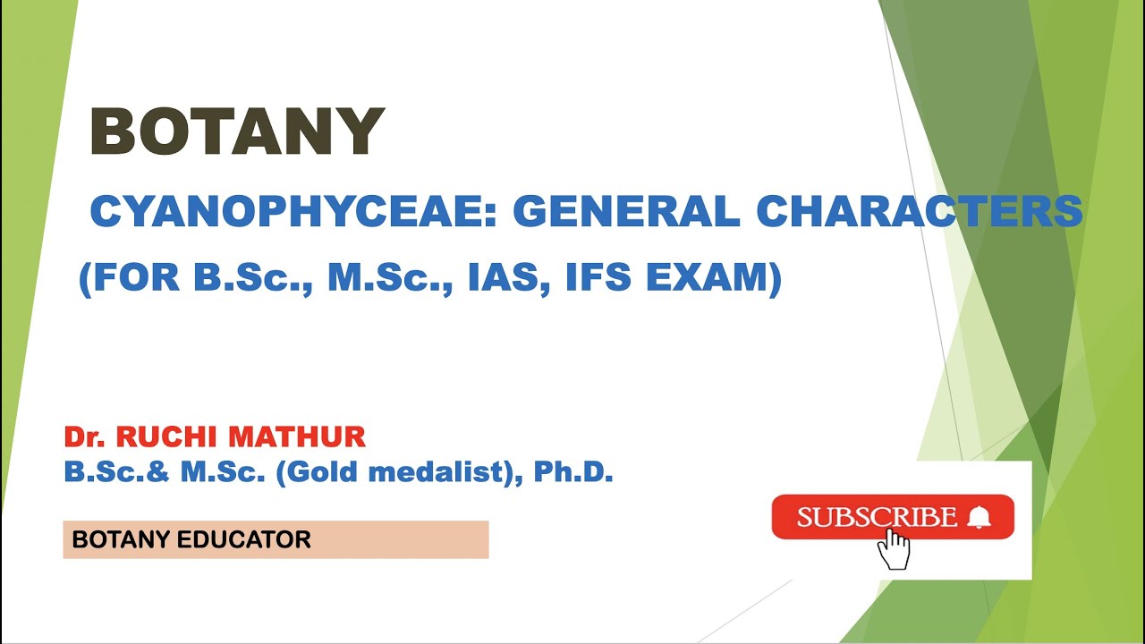 Cyanophyceae: General Characters//Cyanobacteria// Blue green Algae