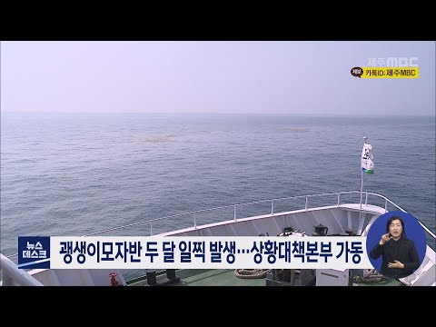 괭생이모자반 두 달 일찍 발생 ... 상황대책본부 가동