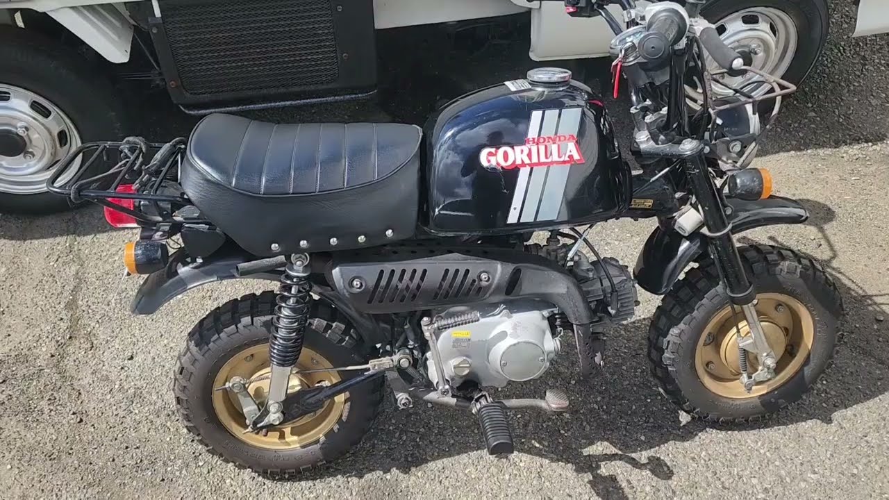 1981 Honda Gorilla Z50J - YouTube