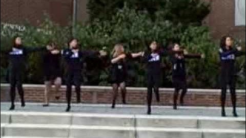 Theta Nu Xi Multicultural Sorority, Inc - Resilient Rho - Fall 2013 Cartzia Emergence