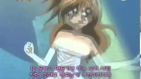 라라의 스타일기 Op의
