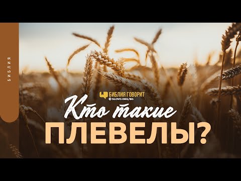 Видео: Что в Библии говорится о пшенице?