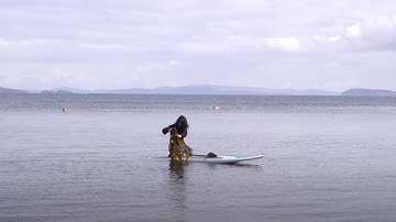 Kelp forest resilience - Maycira Costa