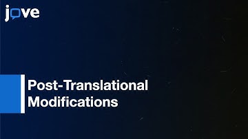 Budding Yeast Protein Extraction & Purification: Studying Function, Interactions l Protocol Preview