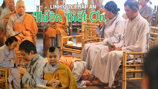 NIKAYA - Thiền Biết Ơn (12.8.2025)