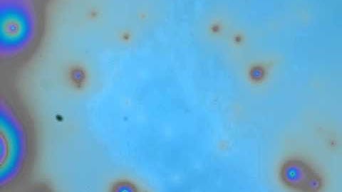 Single Reflectin Layer video.mp4