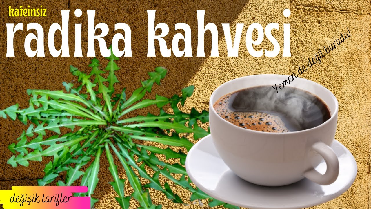 RADICA ROOT COFFEE / Горький коричневый одуванчик