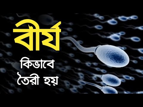 ভিডিও: কীভাবে নিয়ন্ত্রণের মনোভাব বন্ধ করবেন (ছবি সহ)