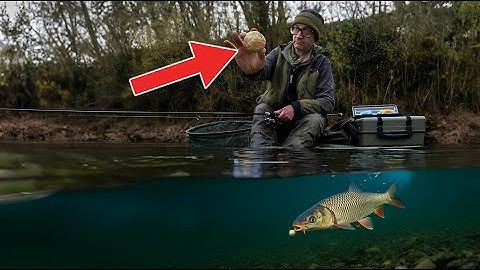 Winter Chub Fishing With Cheese paste | Nick Marsh |