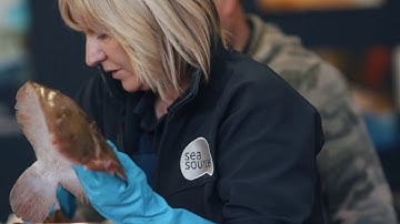 Sea Source Processing Video