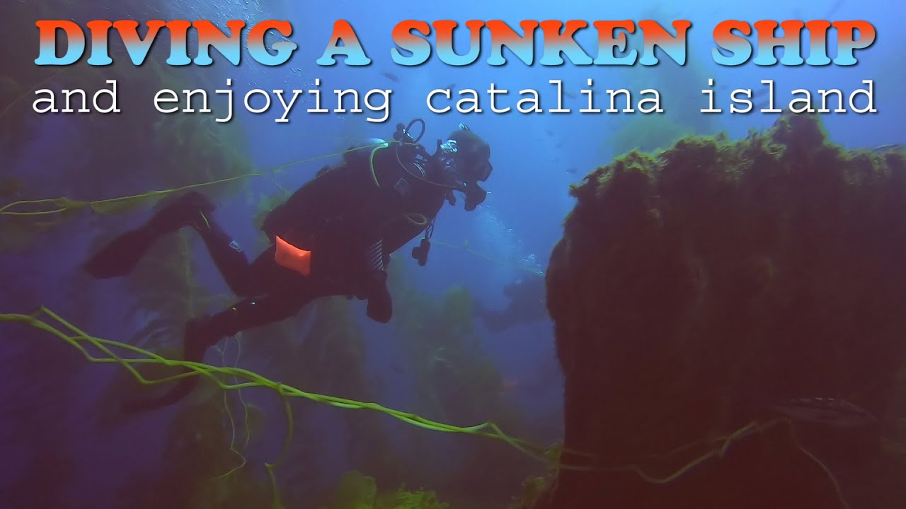 Scuba Diving a ship wreck and enjoying Catalina Island