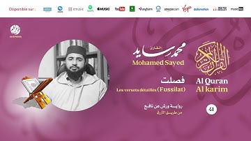 Mohamed Sayed - Surat Fussilat - سورة فصلت | تلاوة بصوت القارئ محمد سايد | برواية ورش عن نافع