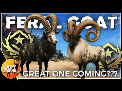 Will FERAL GOATS Be The NEW GREAT ONE Call Of The Wild