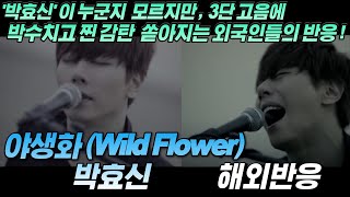 '정말 힘들이지 않고 노래하는 것 같은..' 박효신 - 야생화 (Park Hyo Shin - Wild Flower) 스페셜 비디오 해와반응,한글자막,리액션