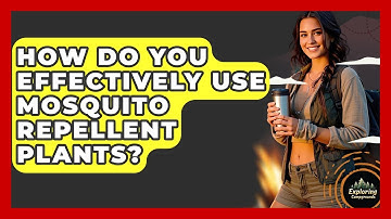 How Do You Effectively Use Mosquito Repellent Plants? - Exploring Campgrounds