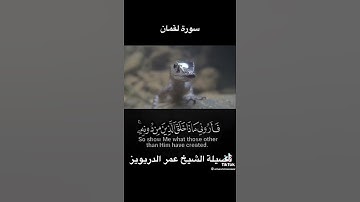 تلاوة رائعة و مميزة بصوت القارئ عمر الدريويز💚🌺