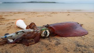 Beach Squid Fishing! (Tips, Tricks and Techniques)