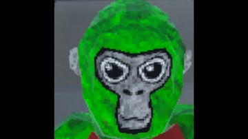 Gorilla Tag but if I touch the floor the video ends!