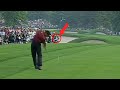 Proof Tiger Lives In a Simulation.  These Shots are some of his best. の動画、YouTube動画。