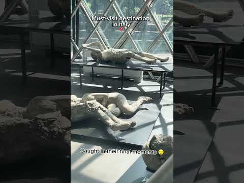 Discover Pompeii: A Journey Through Time and Tragedy!