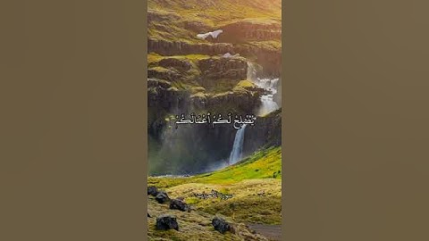 تلاوة رائعة تريح القلب💜