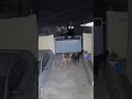 caught on cctv