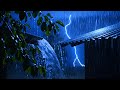 Deep Sleep Rain Sounds with Thunder | ASMR Relaxation for Stress Relief, Study &amp; Meditation