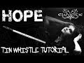 Eluveitie - Hope | CutiePie Tin Whistle Tutorial