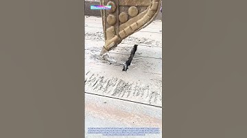 Mining Operations: Extracting Resources from the Earth